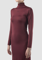 Burgundy turtleneck long dress