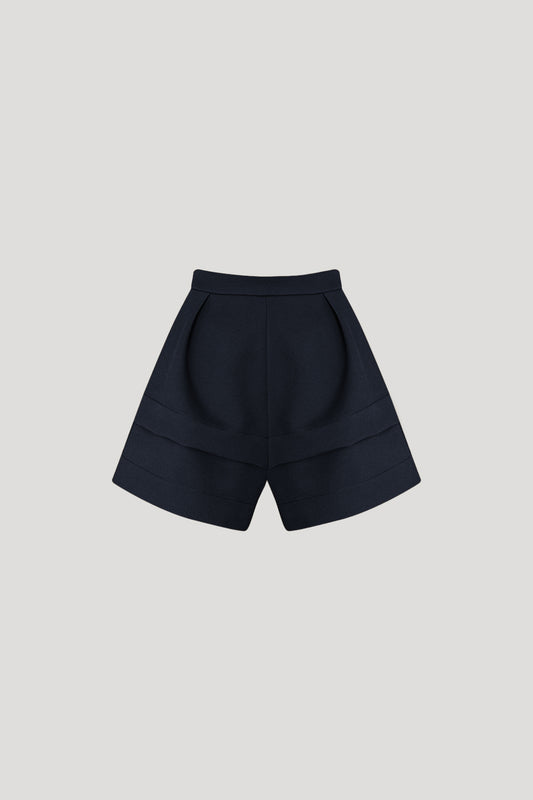 Joie Shorts in Dark Blue