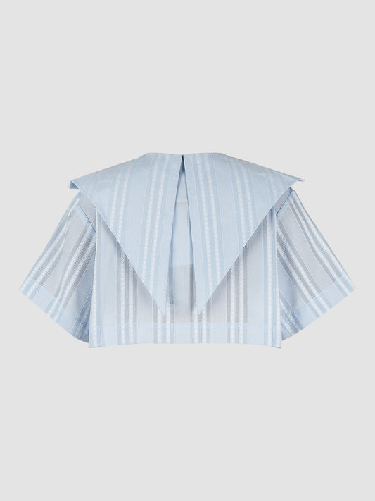 Butter Fly Cut Crop Shirt In Sky Blue