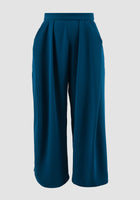 Bar dark royal blue straight pants